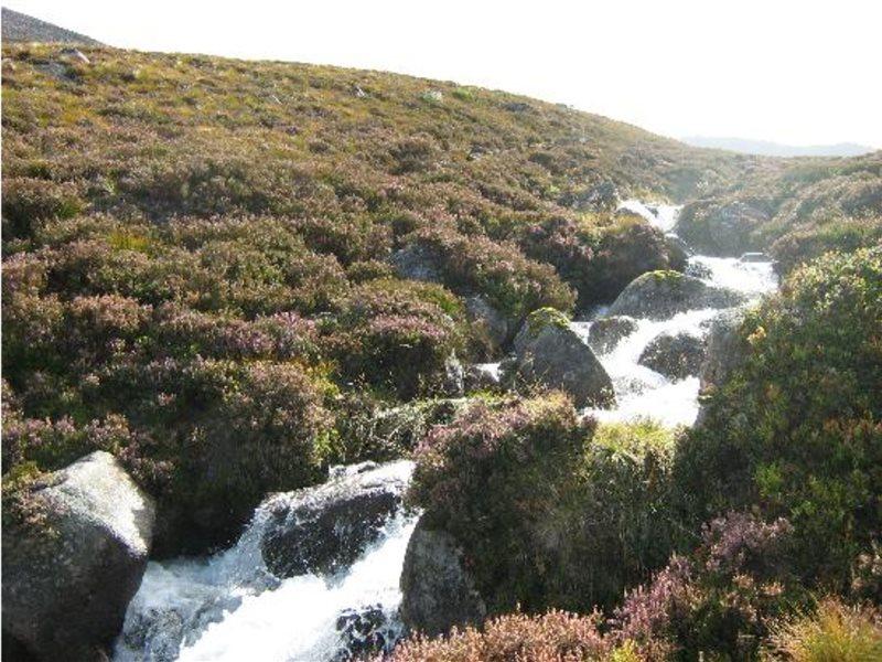 Cedar Villa Guest House Inverness Esterno foto